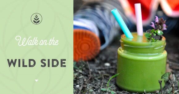 Wildkräuter bestimmen mit Natscha von Ganski bei GrüneSmoothies.de in Berlin Kreuzberg Wildkräuter bestimmen mit Natscha von Ganski bei GrüneSmoothies.de in Berlin Kreuzberg