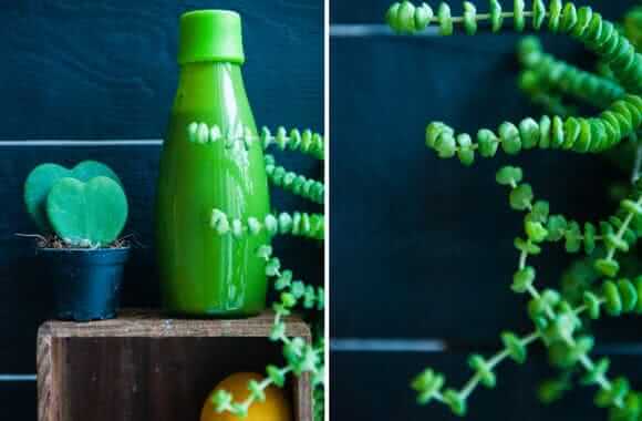 2er collage: Links Spinat Smoothie in Flasche mit Kaktus; rechts Close-up Pflanze