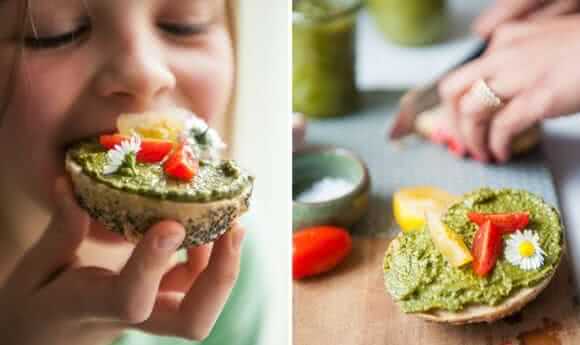 Pesto Rezept Brotaufstrich