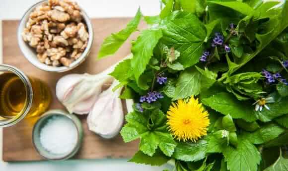 Pesto Rezept Wildkräuter
