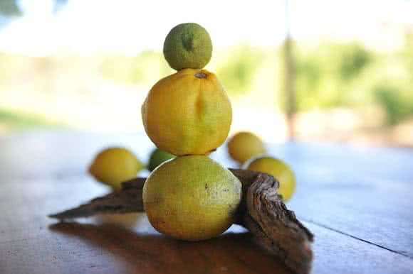 Basische Ernährung