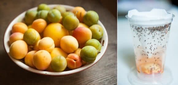 Collage: Rechts ein Obstteller und links eine Trapango Fruchtfliegenfalle