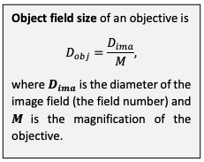 Object field size explanation