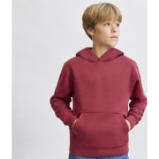 Sudadera con capucha en felpa perchada con bolsillo frontal  de niño Draco 280
