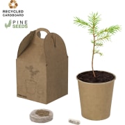 Maceta personalizada de cartón reciclado con semillas de pino