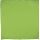 Pañuelo cuadrado para fiestas 48x48 cm. bandana Valento verde manzana