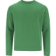 Sudadera felpa perchada con cuello redondo  Cosmos 280 verde