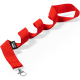 Lanyard personalizado 2 cm ecologico en RPET