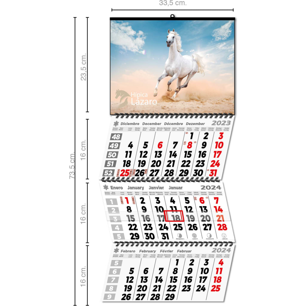 Calendario De Pared 2026 - Calendario 2026, Calendario De Luces Del Norte, Enero 2026