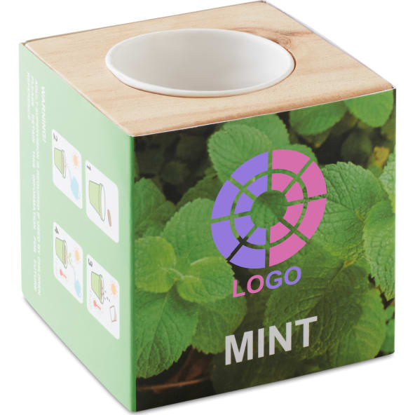 Maceta de madera con semillas de menta