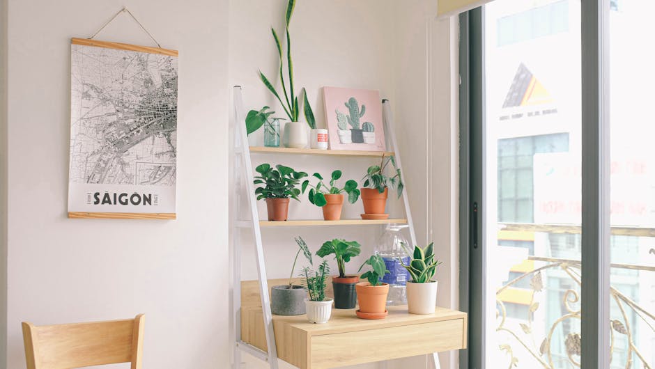 Varias plantas suculentas de diferentes tamaños y colores, dispuestas en una estantería de madera.