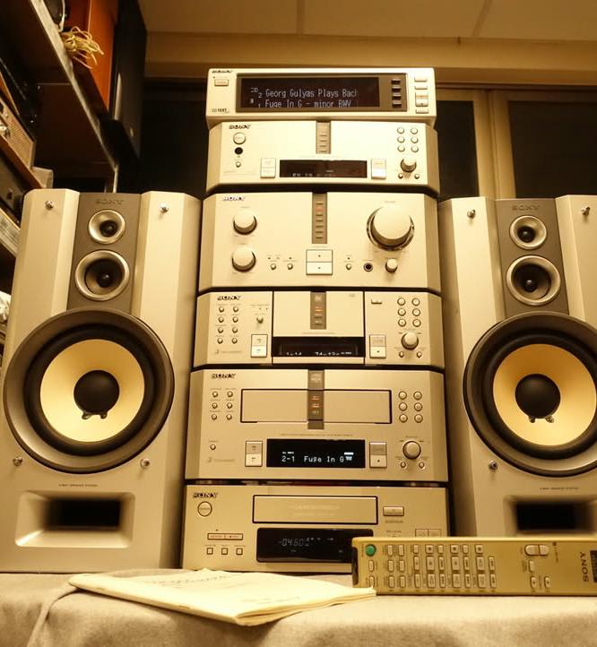 Sony DHC-MD919 Audio System