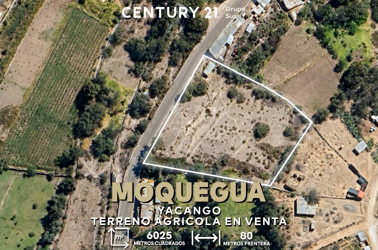 Terreno en Venta Yacango  - Terreno en Venta en Torata