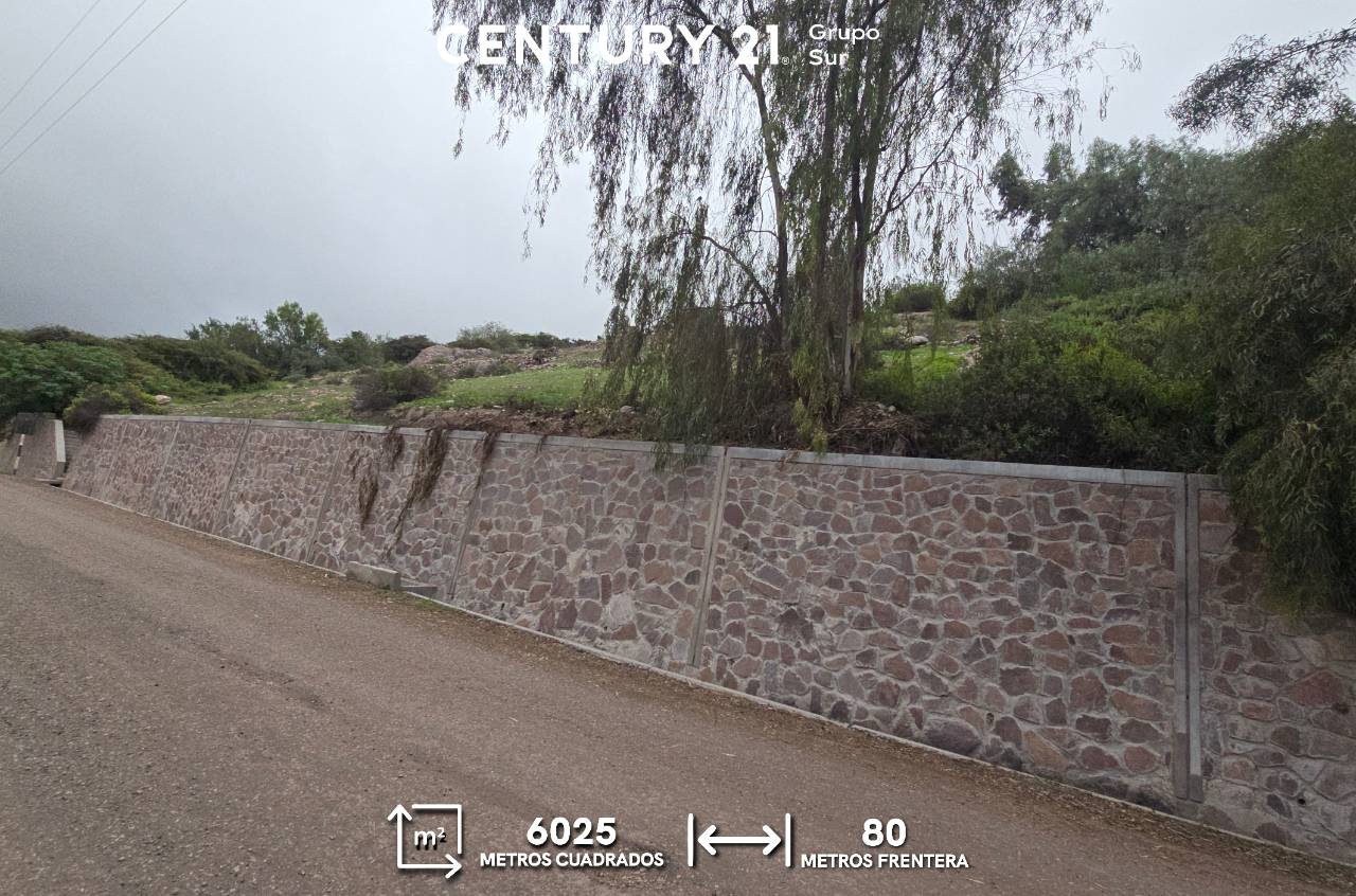 Vista 1 de Terreno en Venta Yacango 