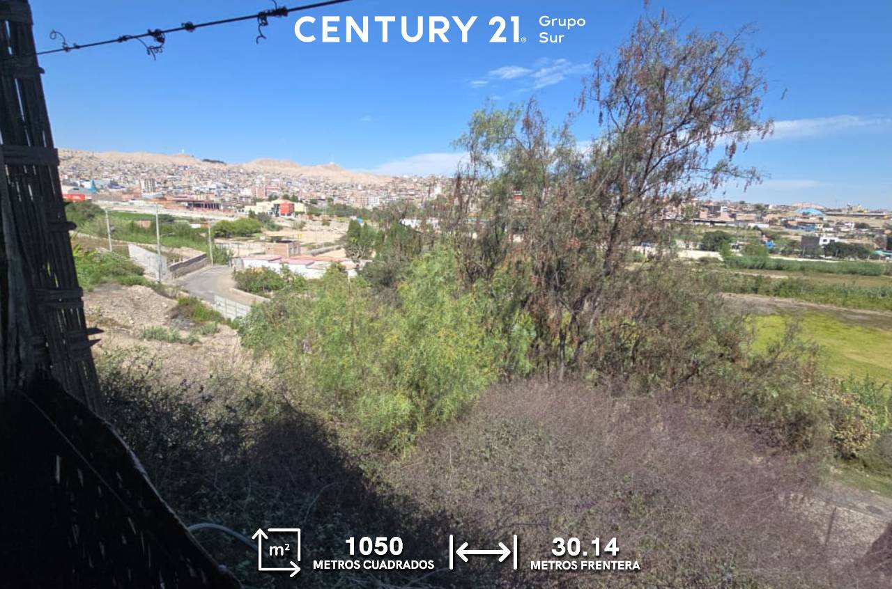 Vista 3 de Terreno en Venta Estuquiña Carretera Paisajista