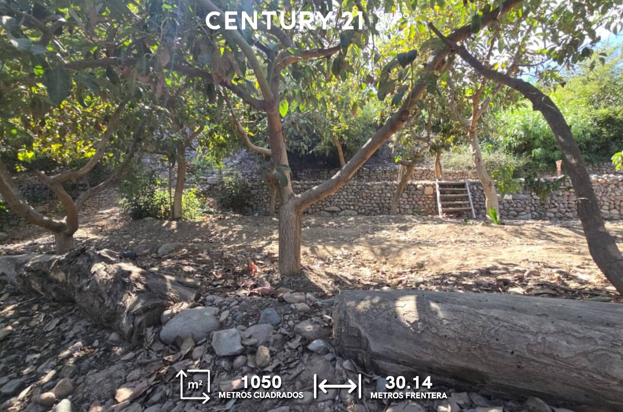 Vista 4 de Terreno en Venta Estuquiña Carretera Paisajista