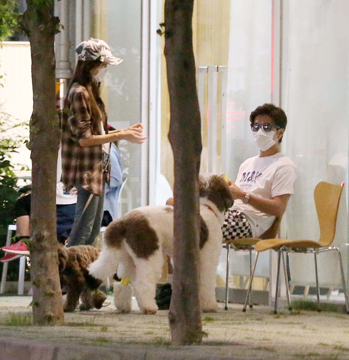 キムタク、田中みな実、渡部建…有名人の「愛犬と散歩写真」 FRIDAYデジタル
