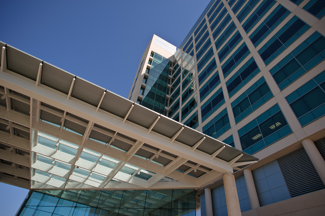 biomedical sciences