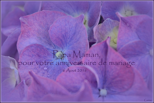 Necrologies Avis De Deces Et Commemoratifs Carnet Sud Ouest