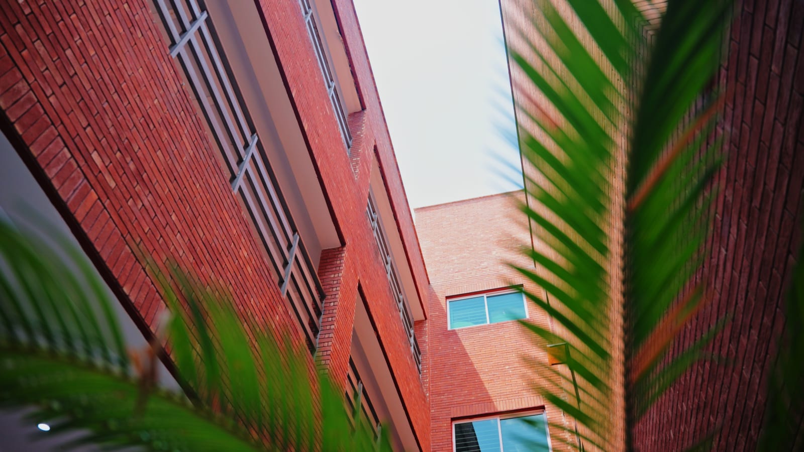 The Punjab School – Canal Garden Campus view 10