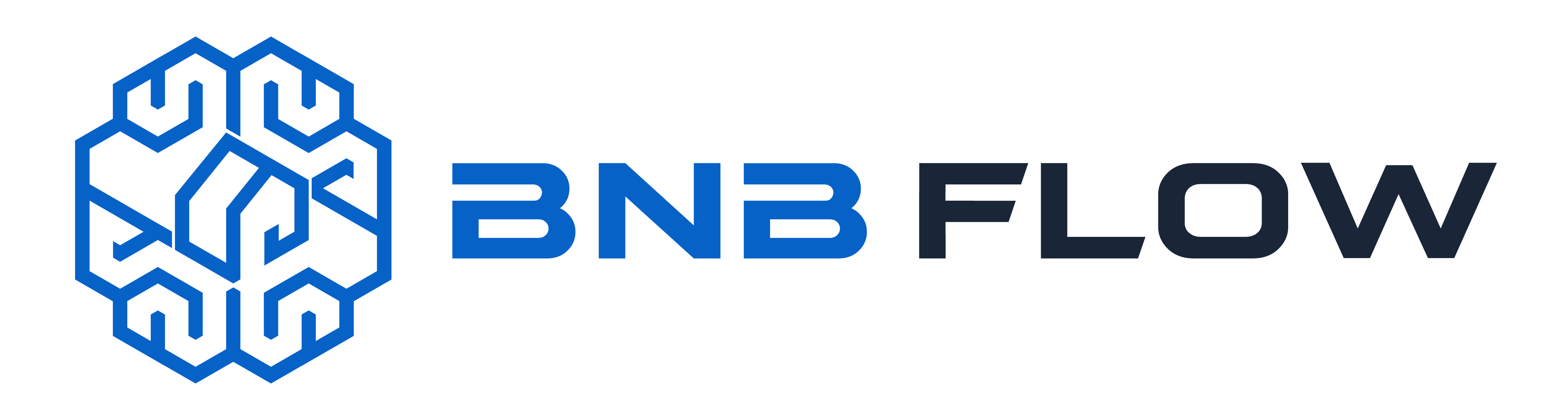 BNB Flow Logo