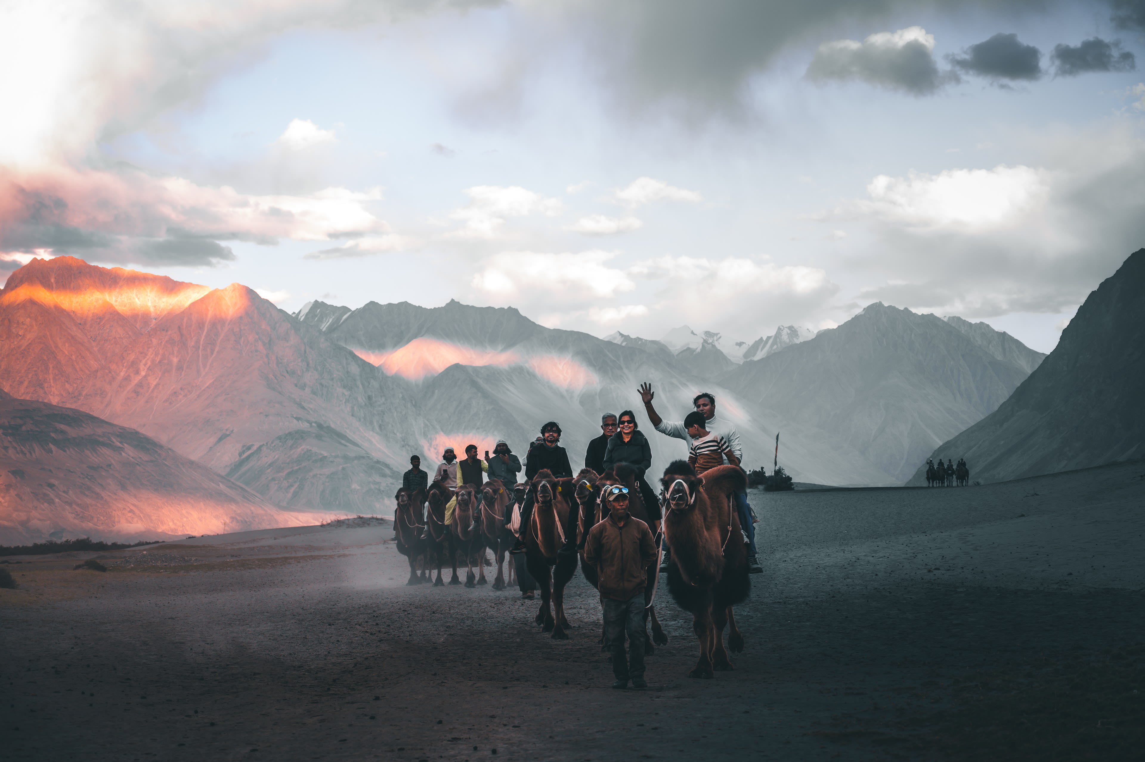 Bactrian camels crossing sand dunes under pink-lit peaks