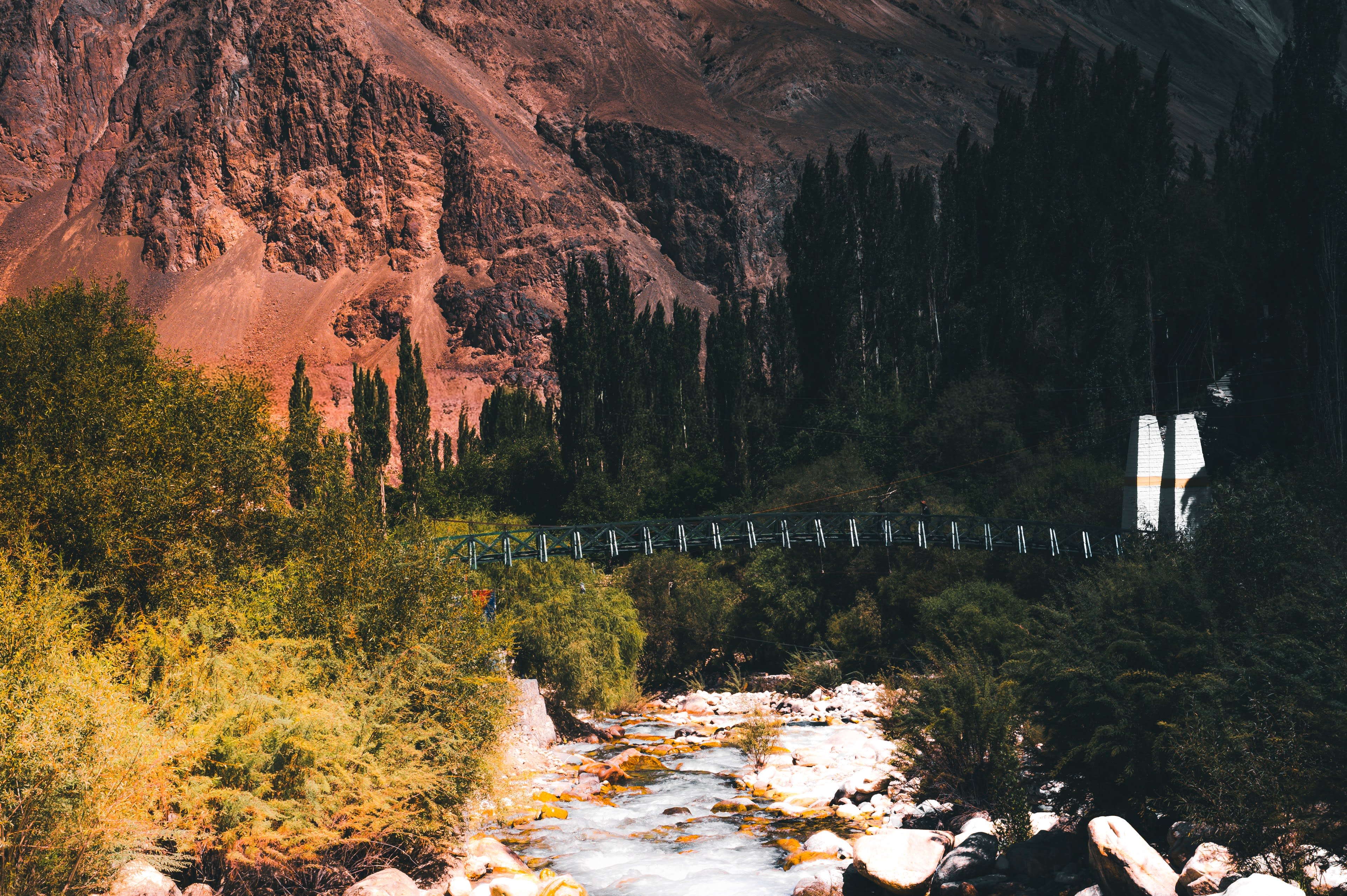 A whitewater stream running between autumn trees and a rock face