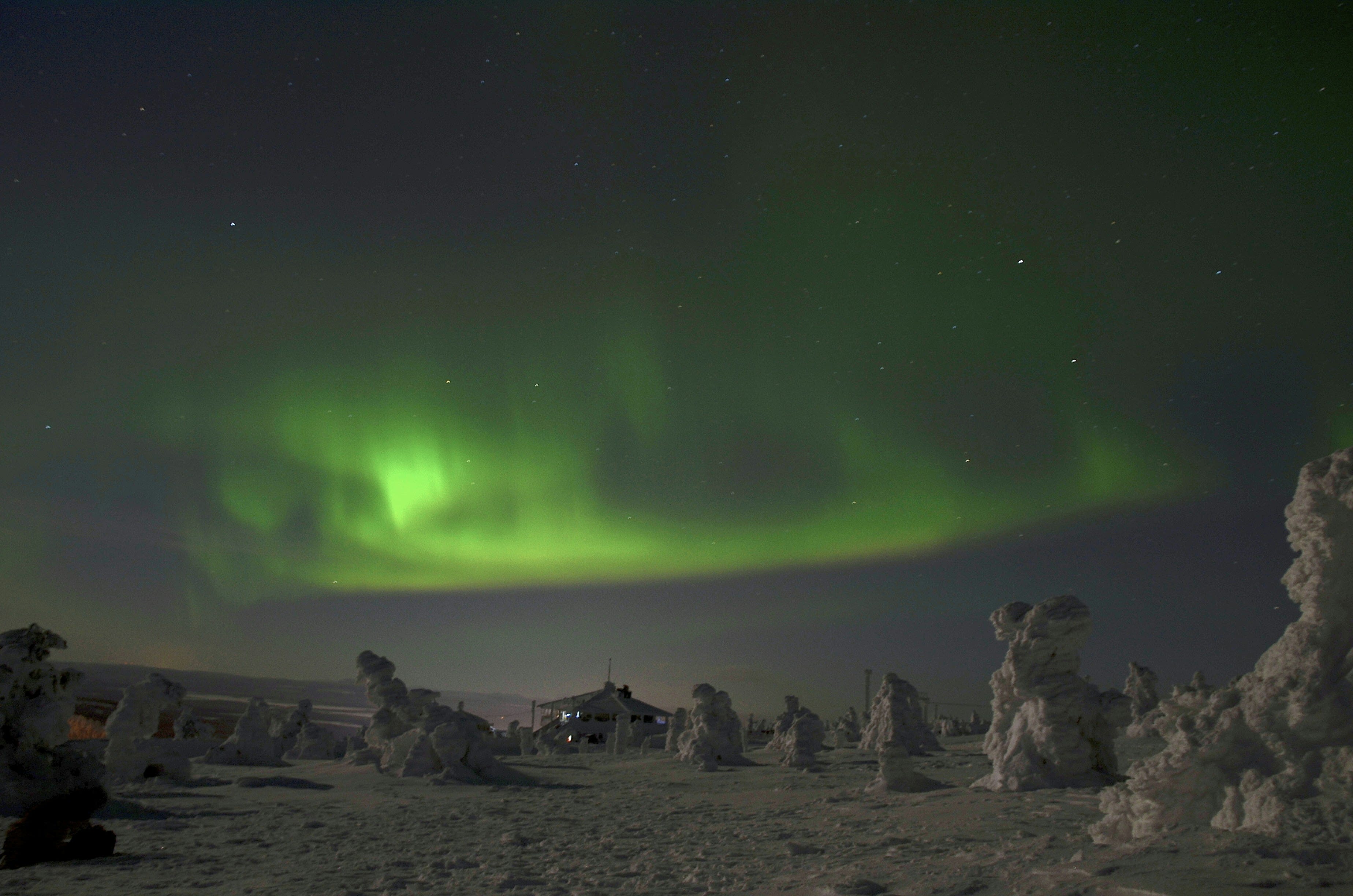 Green aurora borealis over a dark snowy treeline