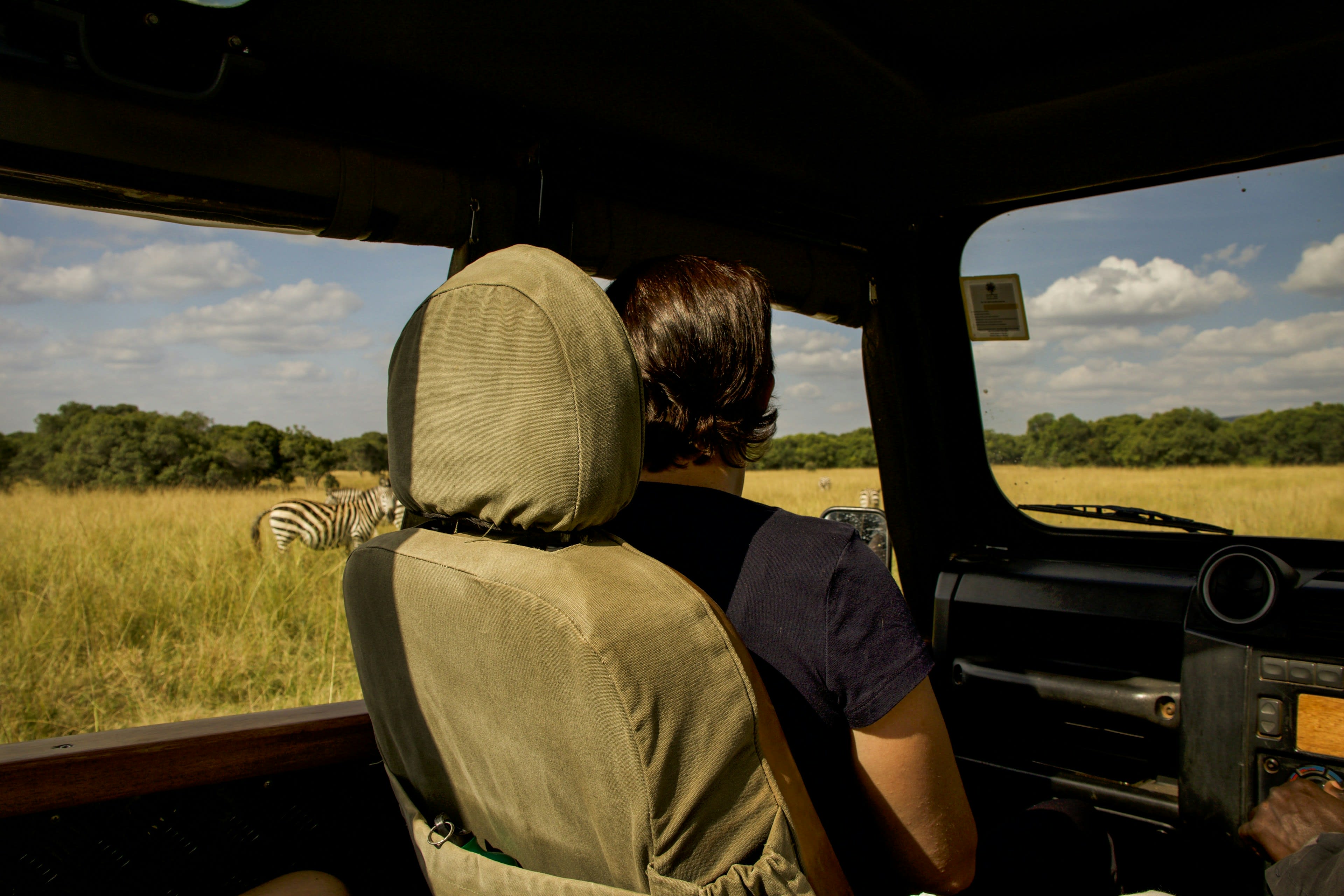 The inside of a safari vehicle at dawn with the driver at the wheel and grassland beyond
