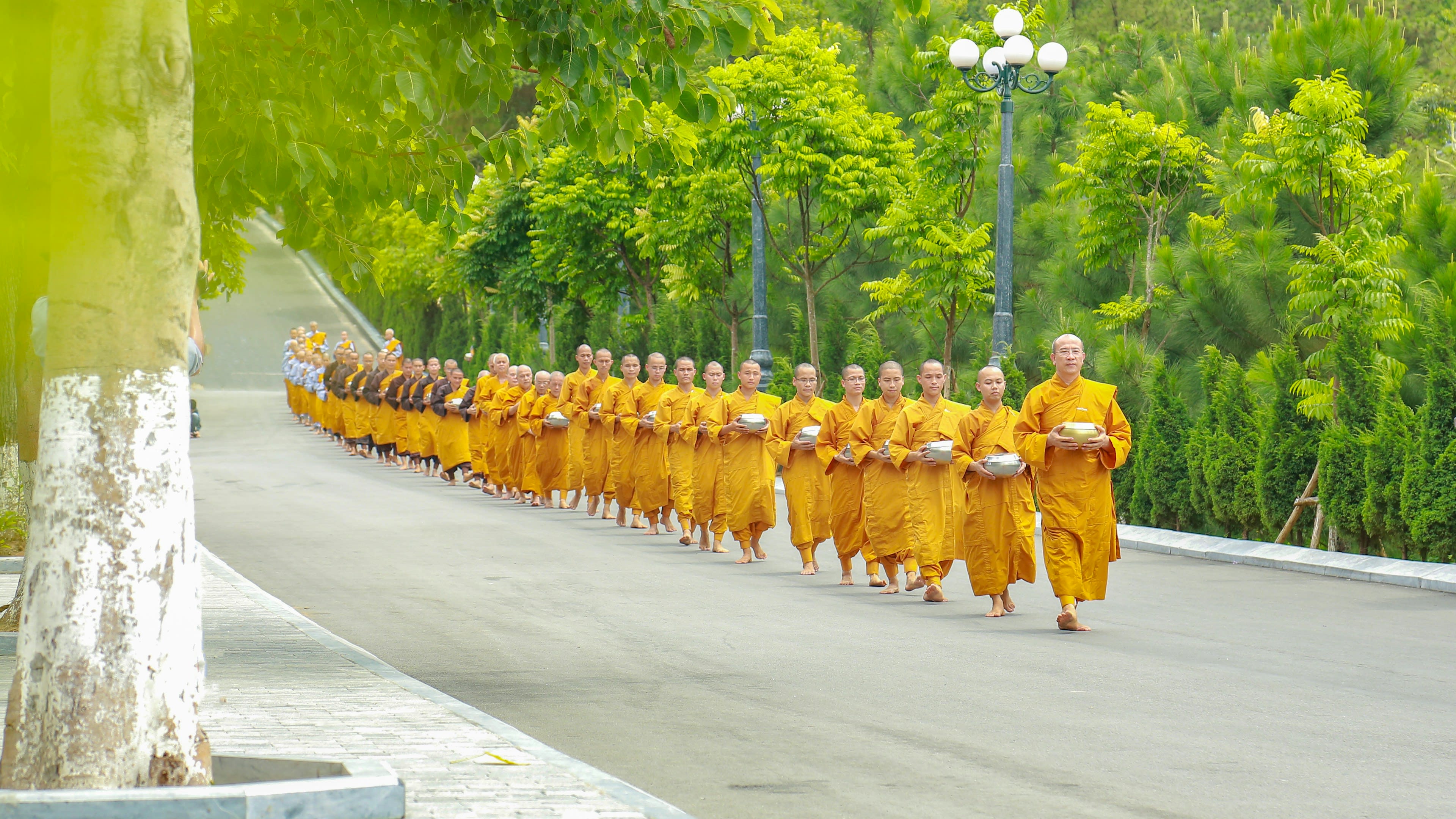 A line of monks in saffron robes walking a street at dawn for the alms round