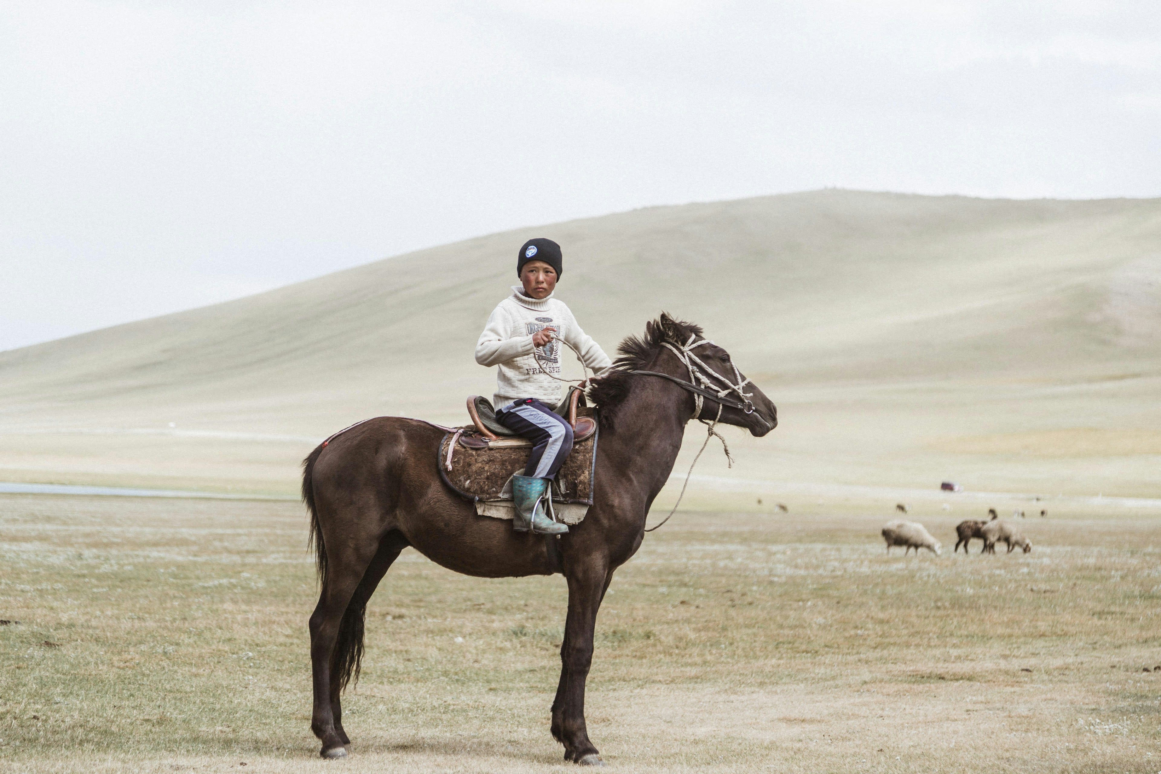 A boy in a white jacket sitting on a horse in open misty grassland