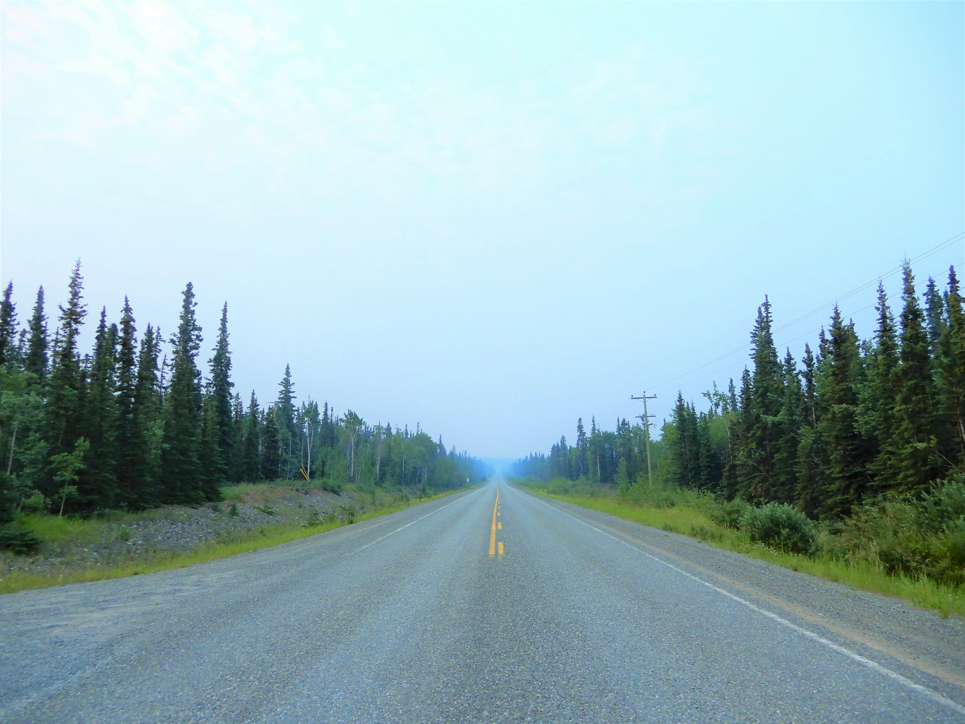 An empty grey highway running straight between walls of spruce under a white sky