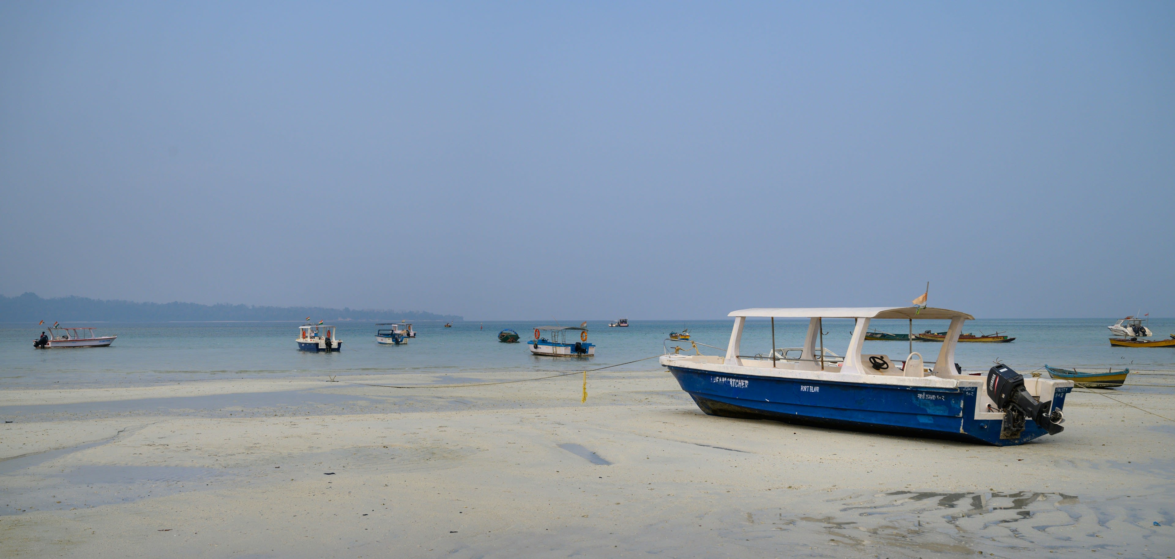 A blue and white boat resting on pale shallows at low tide