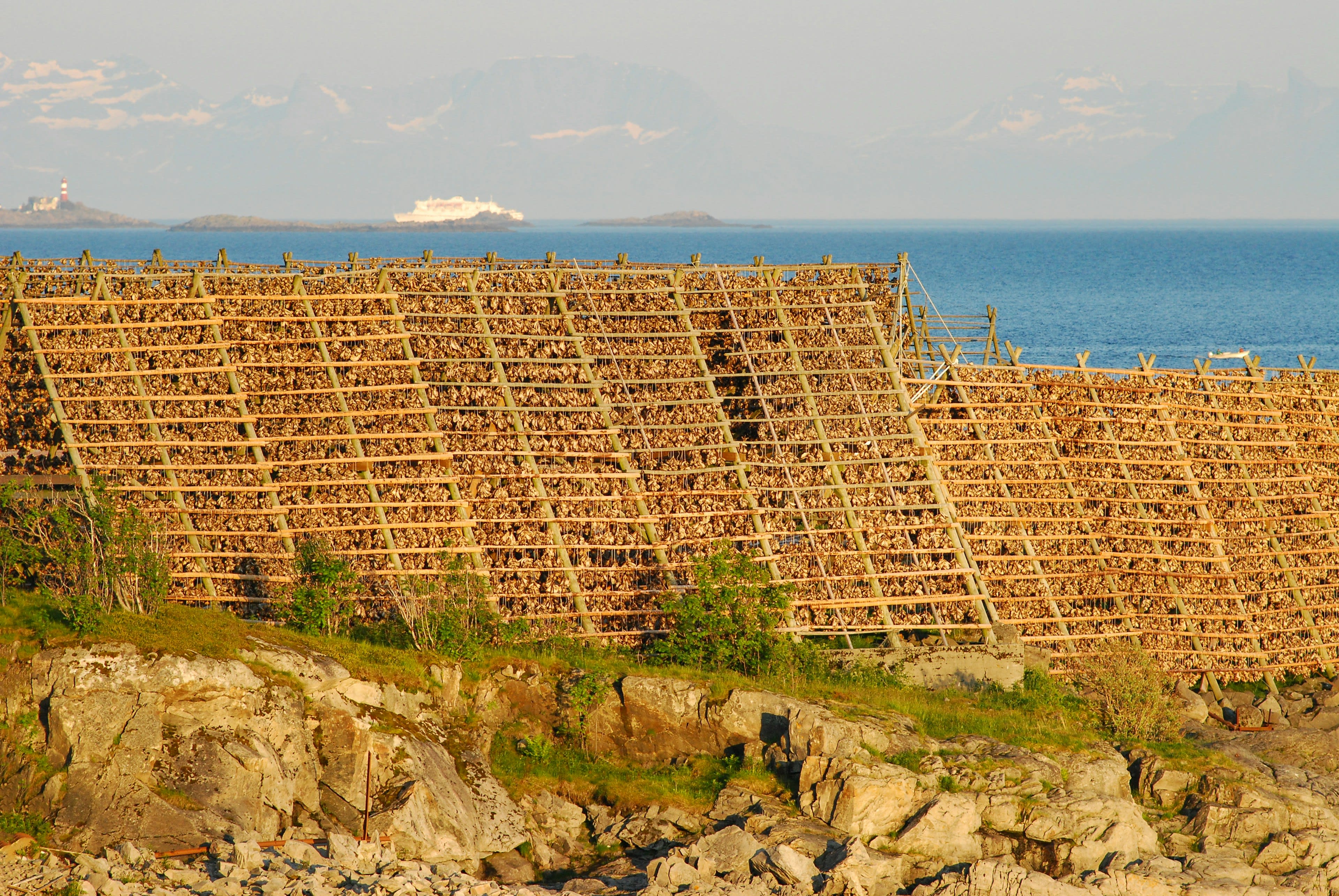 Large wooden A-frame fish drying racks on a coastal hillside
