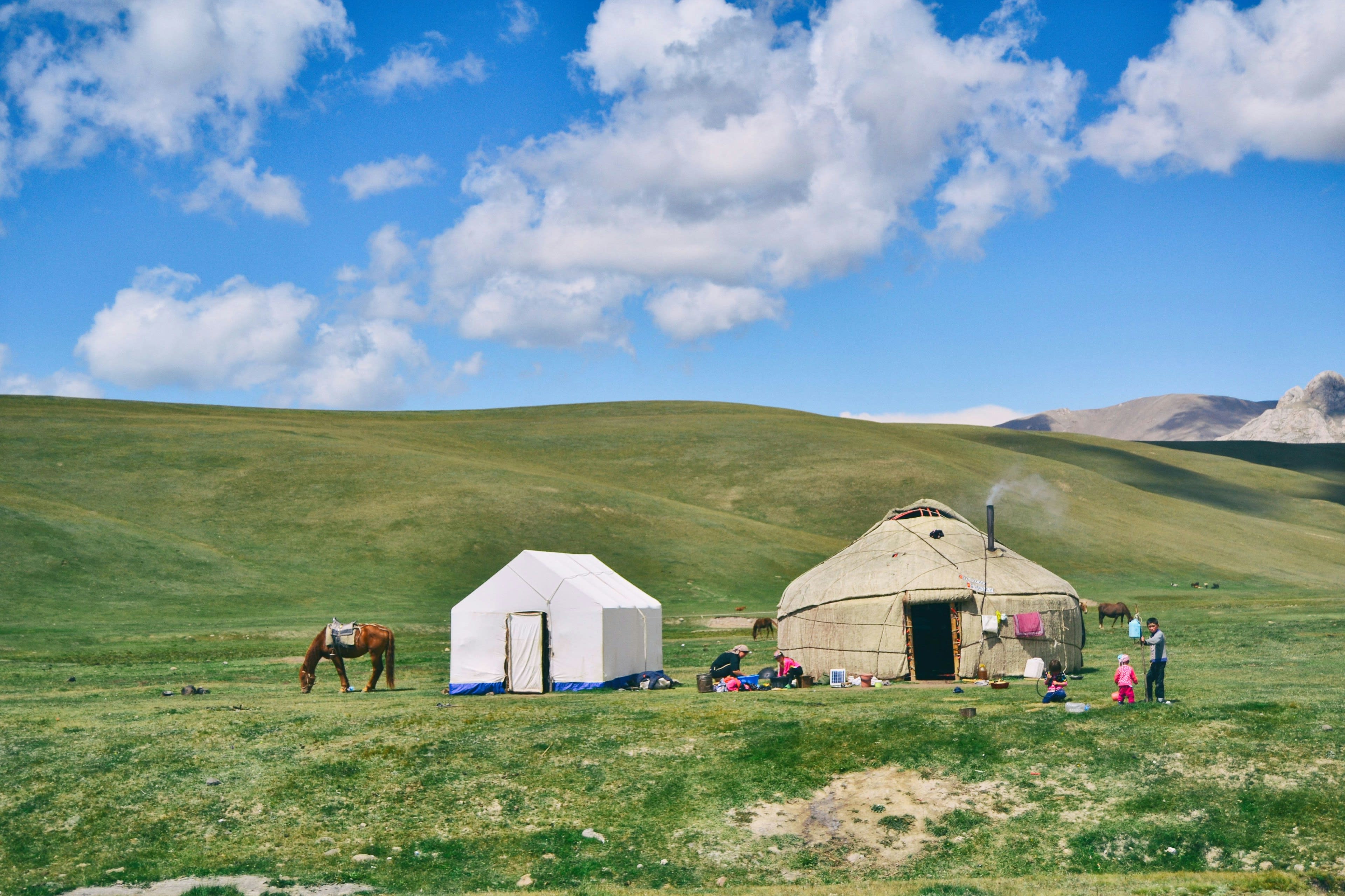 Two yurts and a tethered horse on open grassland under a big cloudy sky