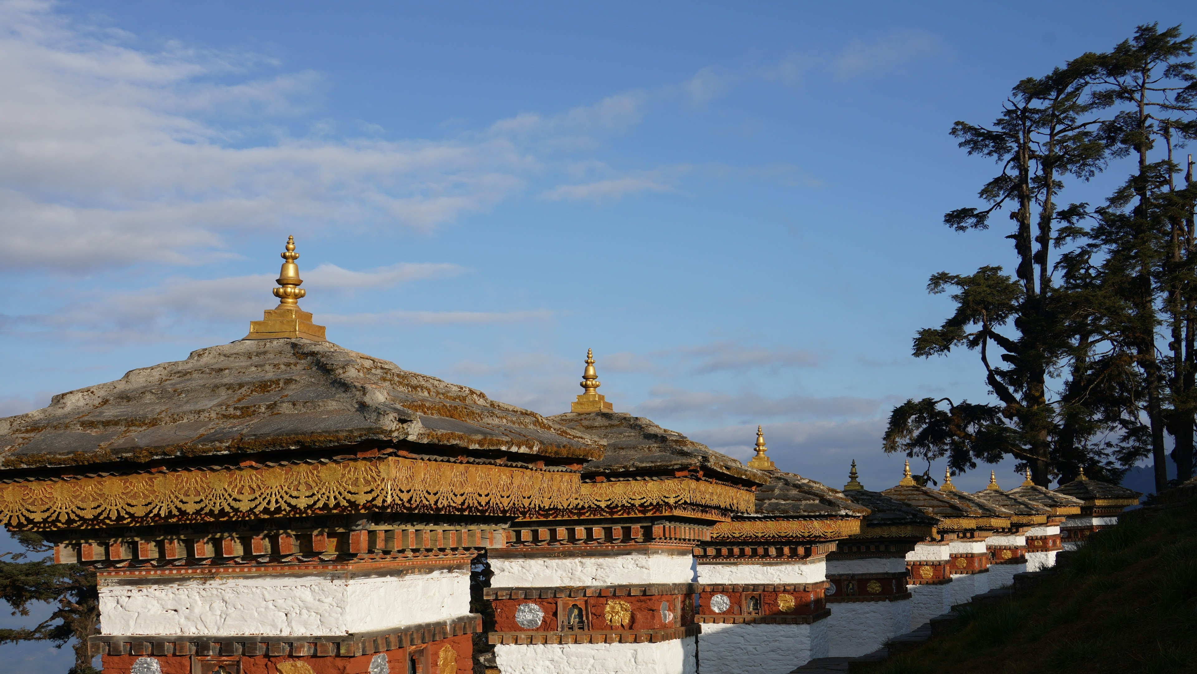 Rows of small white and gold Buddhist chortens on a forested mountain pass