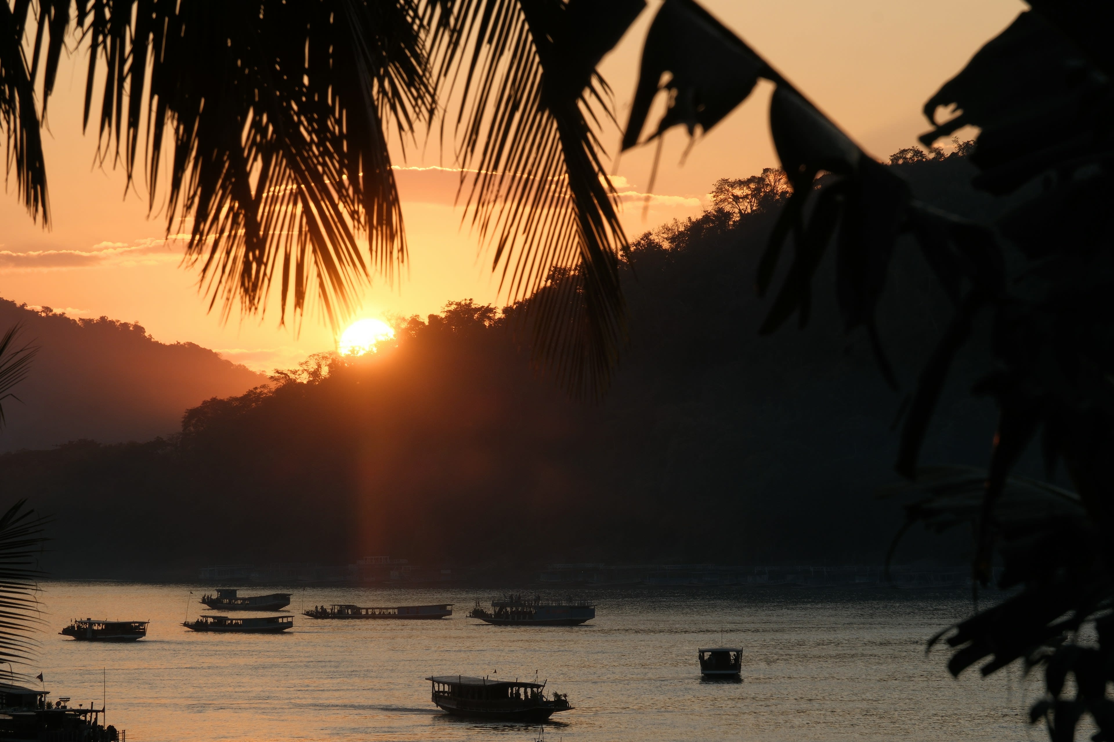 Wooden boats on the Mekong at sunset with palms silhouetted on the bank