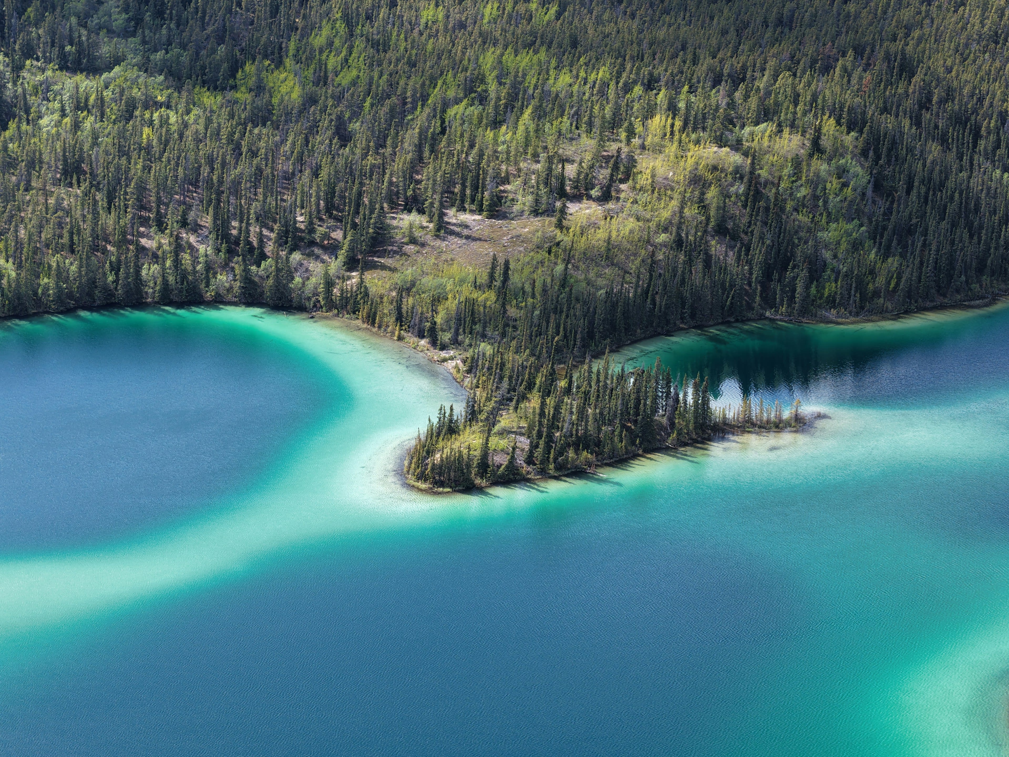 Vivid green lake water ringed by spruce forest and low mountains