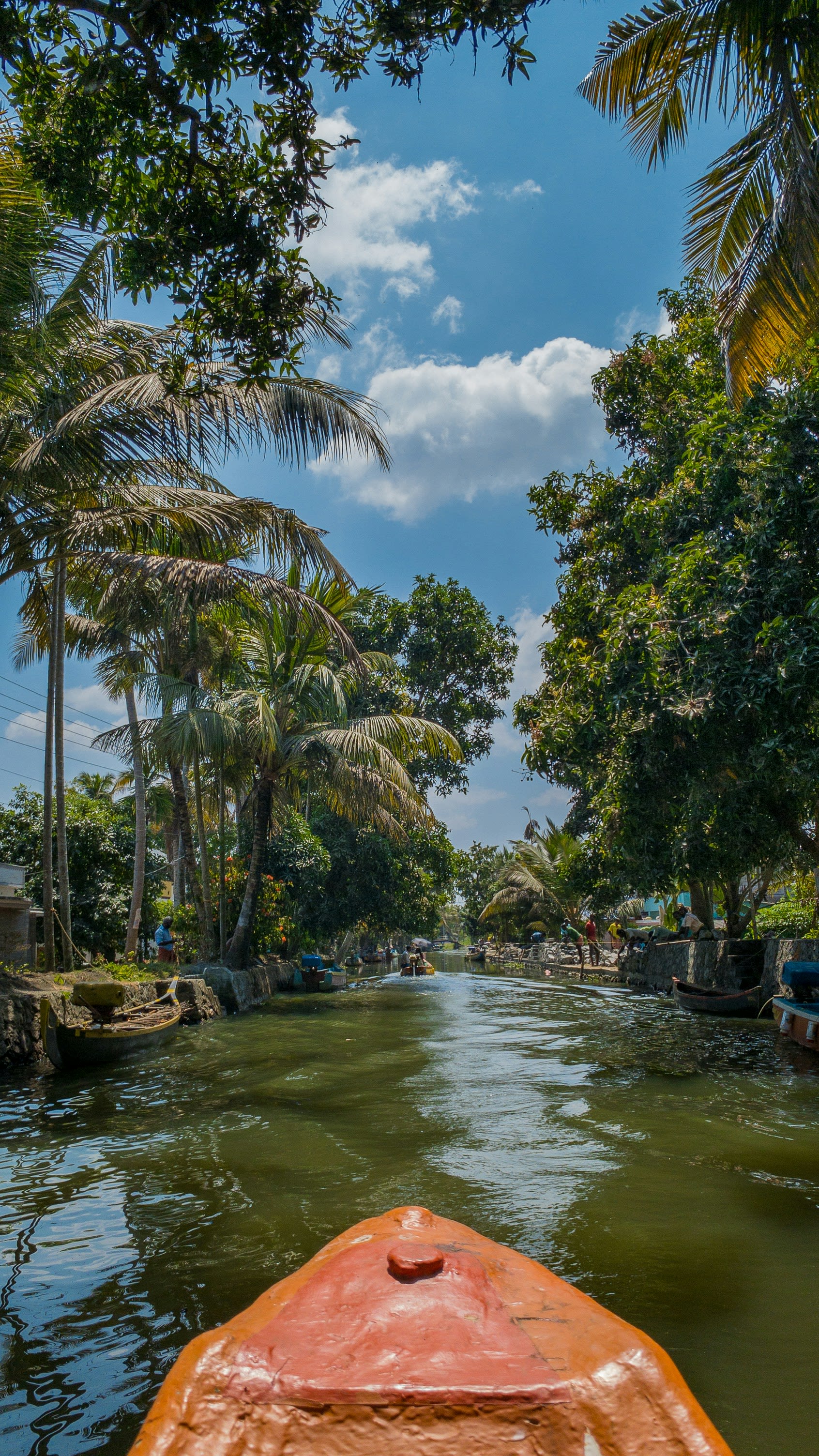 The bow of a canoe pointing down a narrow green canal overhung with palms