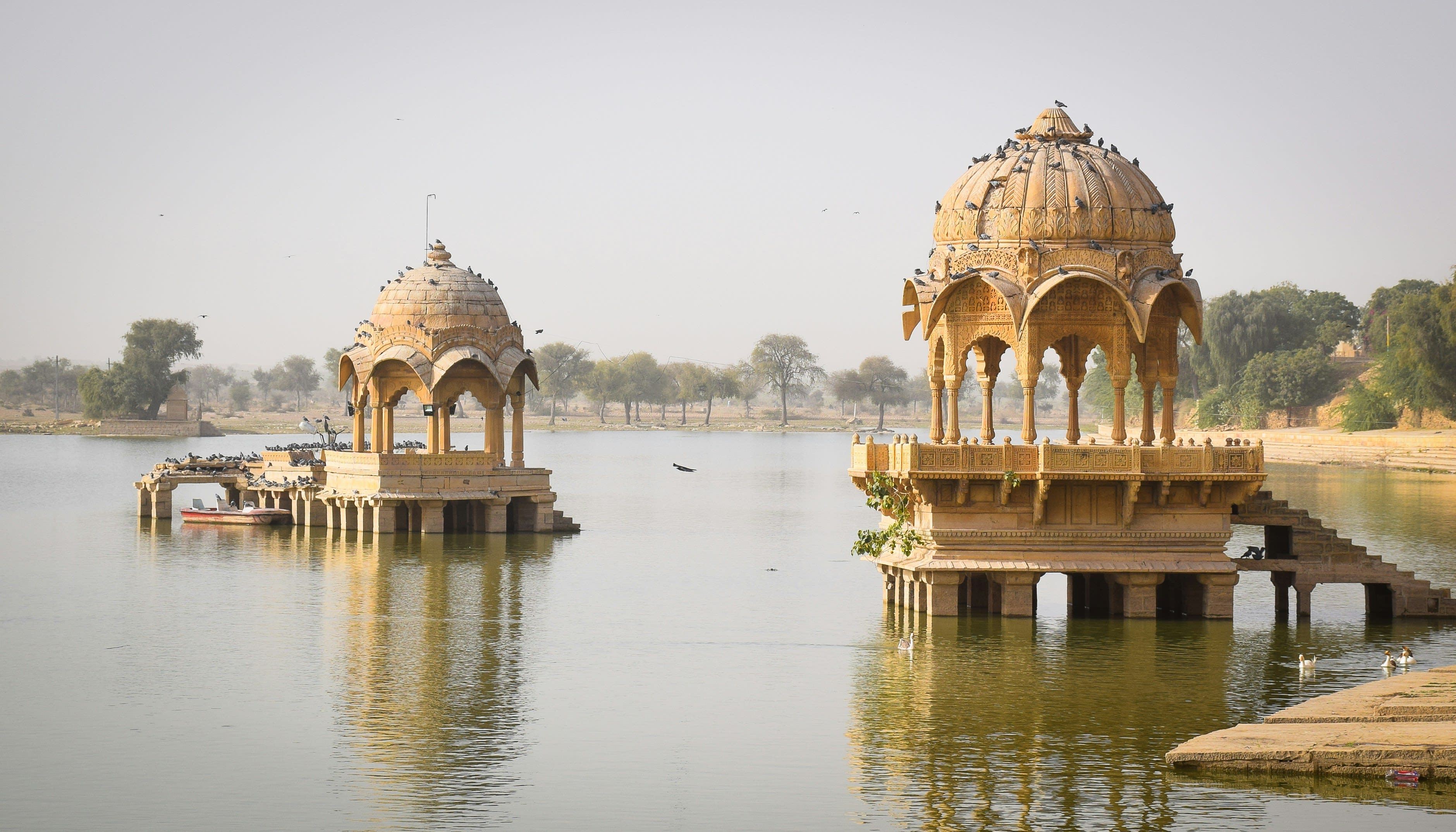 Sandstone pavilions standing in the still water of Gadisar Lake at dawn