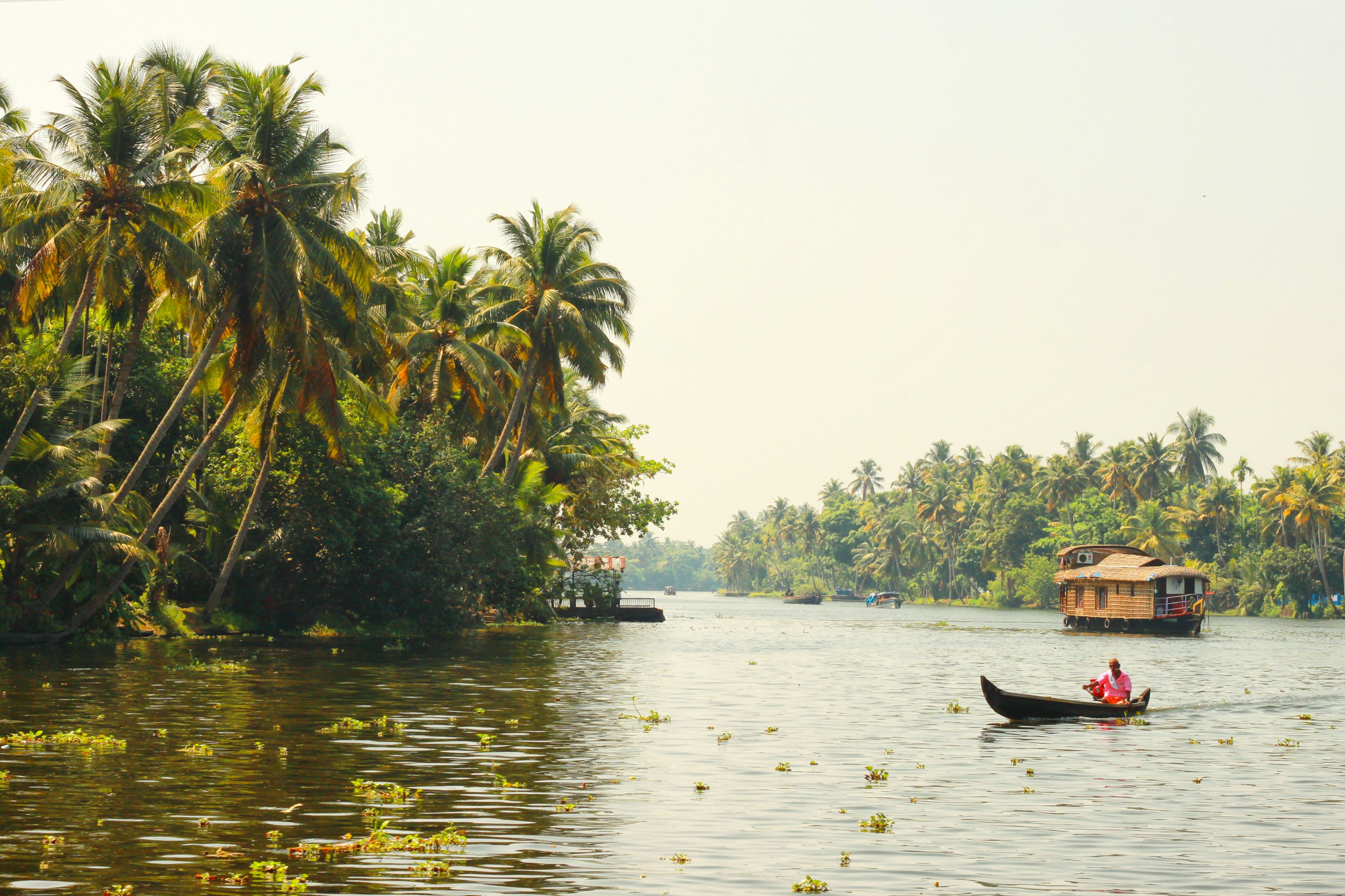 A narrow wooden canoe on a wide palm-lined backwater under a hazy sky