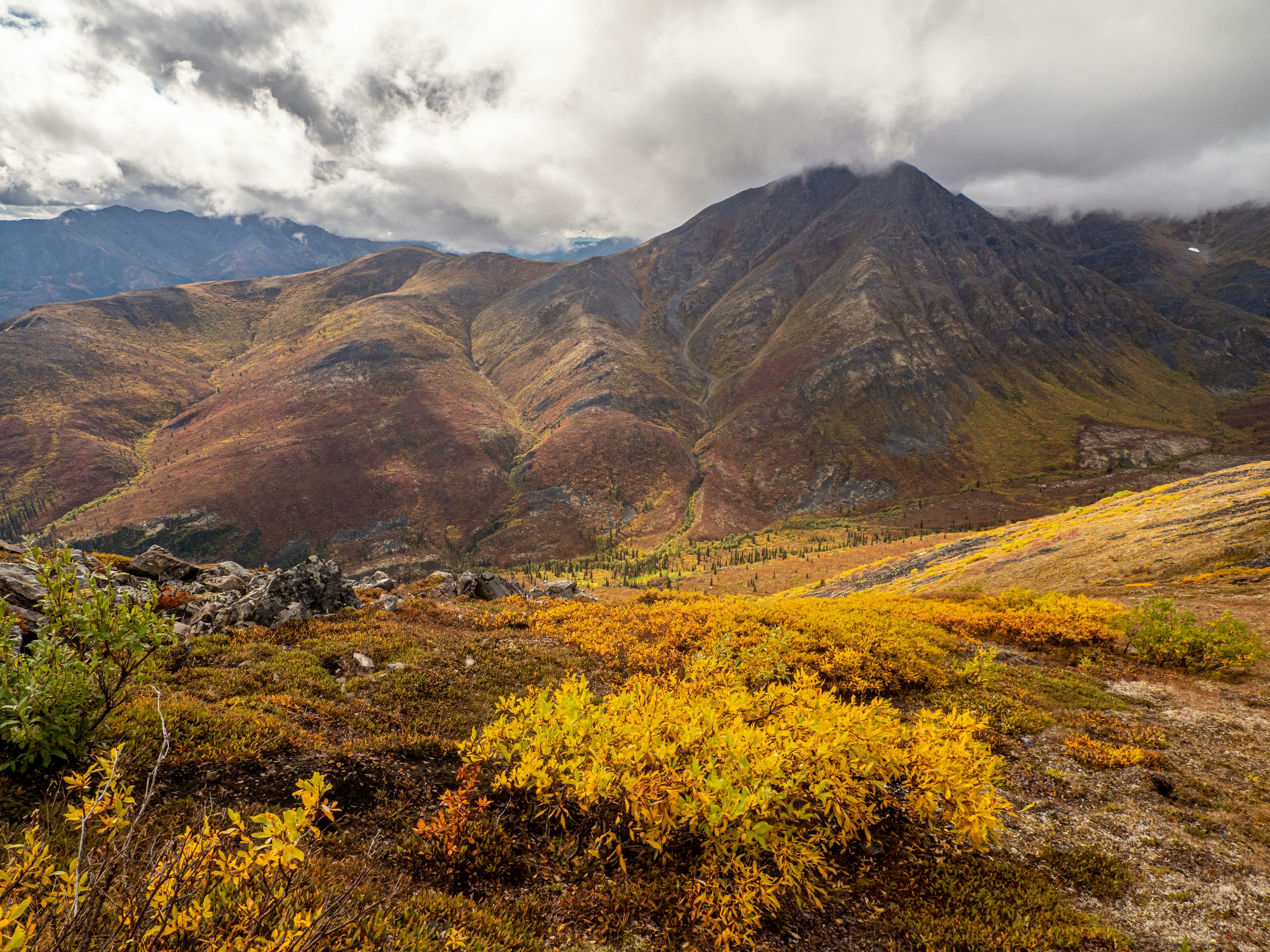Autumn tundra in red and gold running up to dark mountains under moving cloud