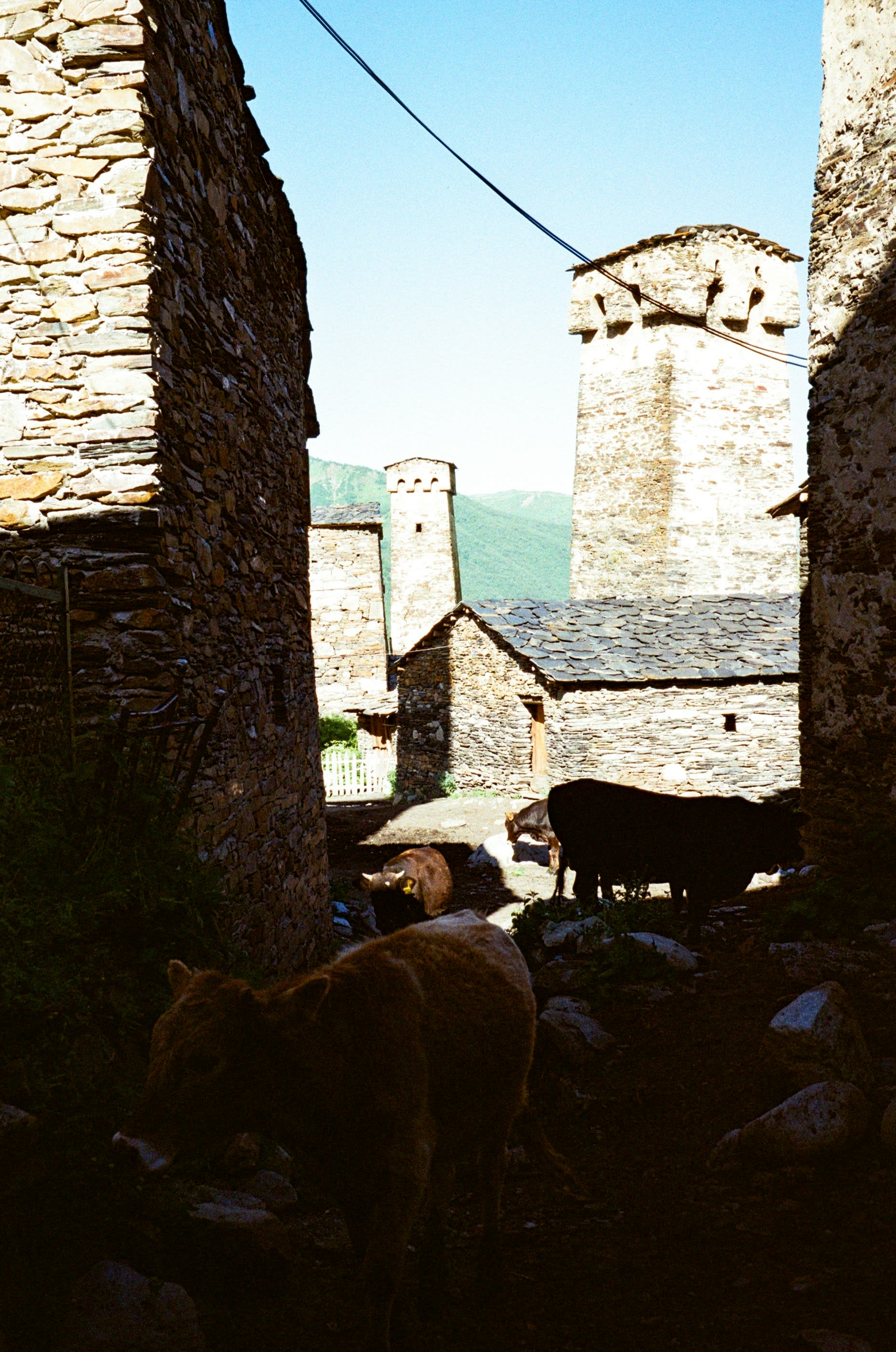 A stone tower and old stone houses lit warm by low evening sun