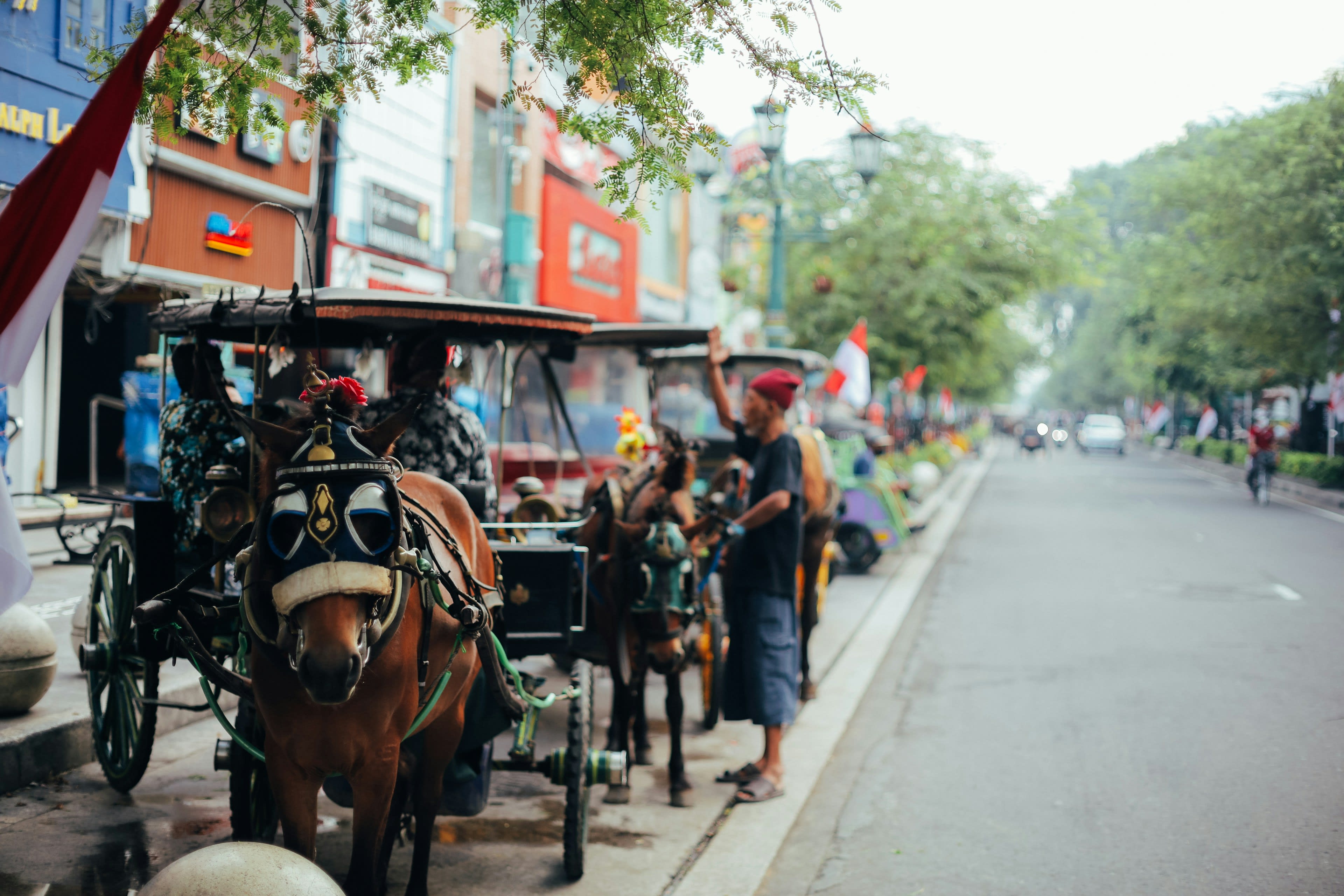 Horse-drawn carriages lined along a busy shopping street