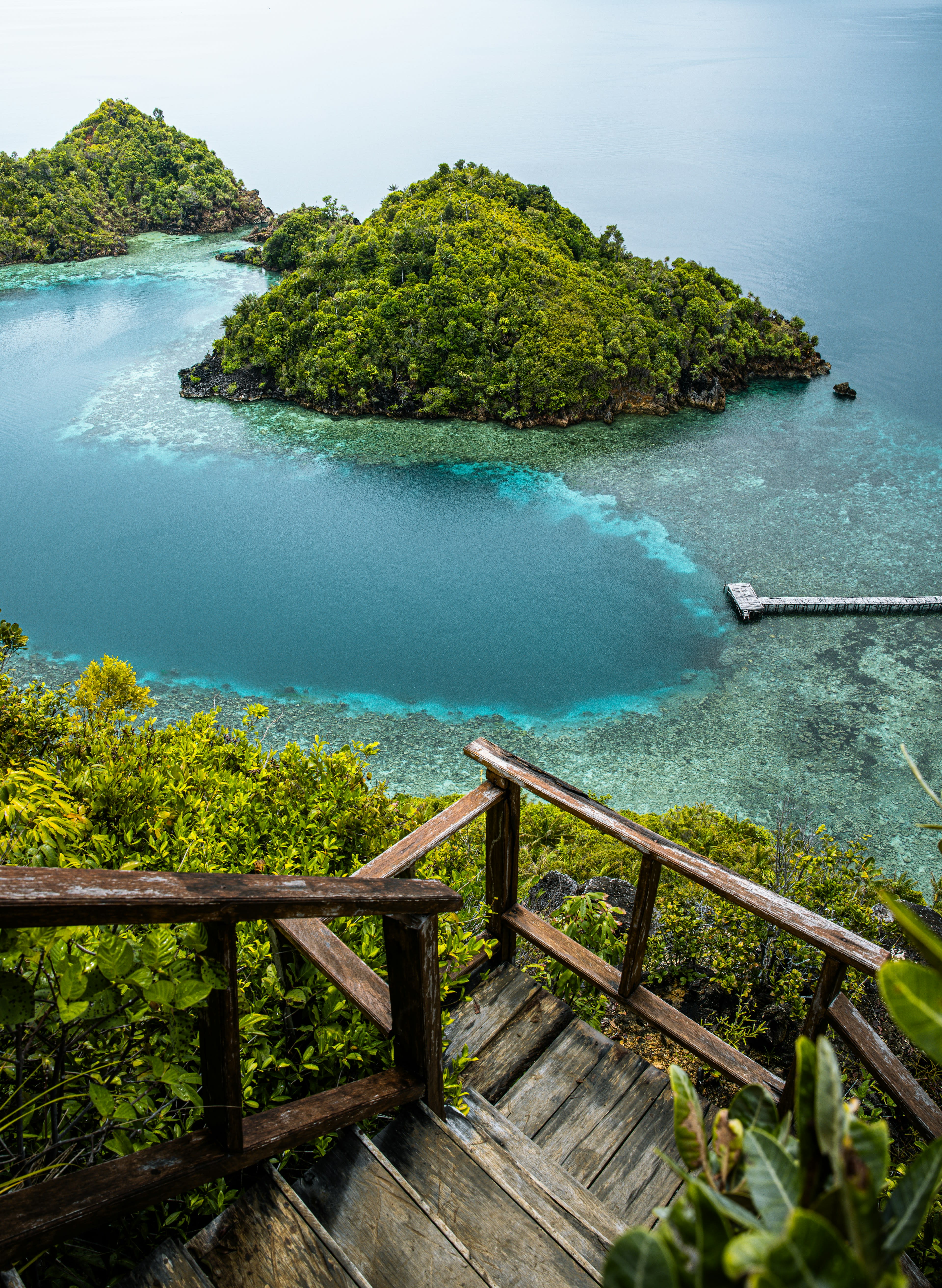 A wooden staircase climbing through jungle above a turquoise lagoon