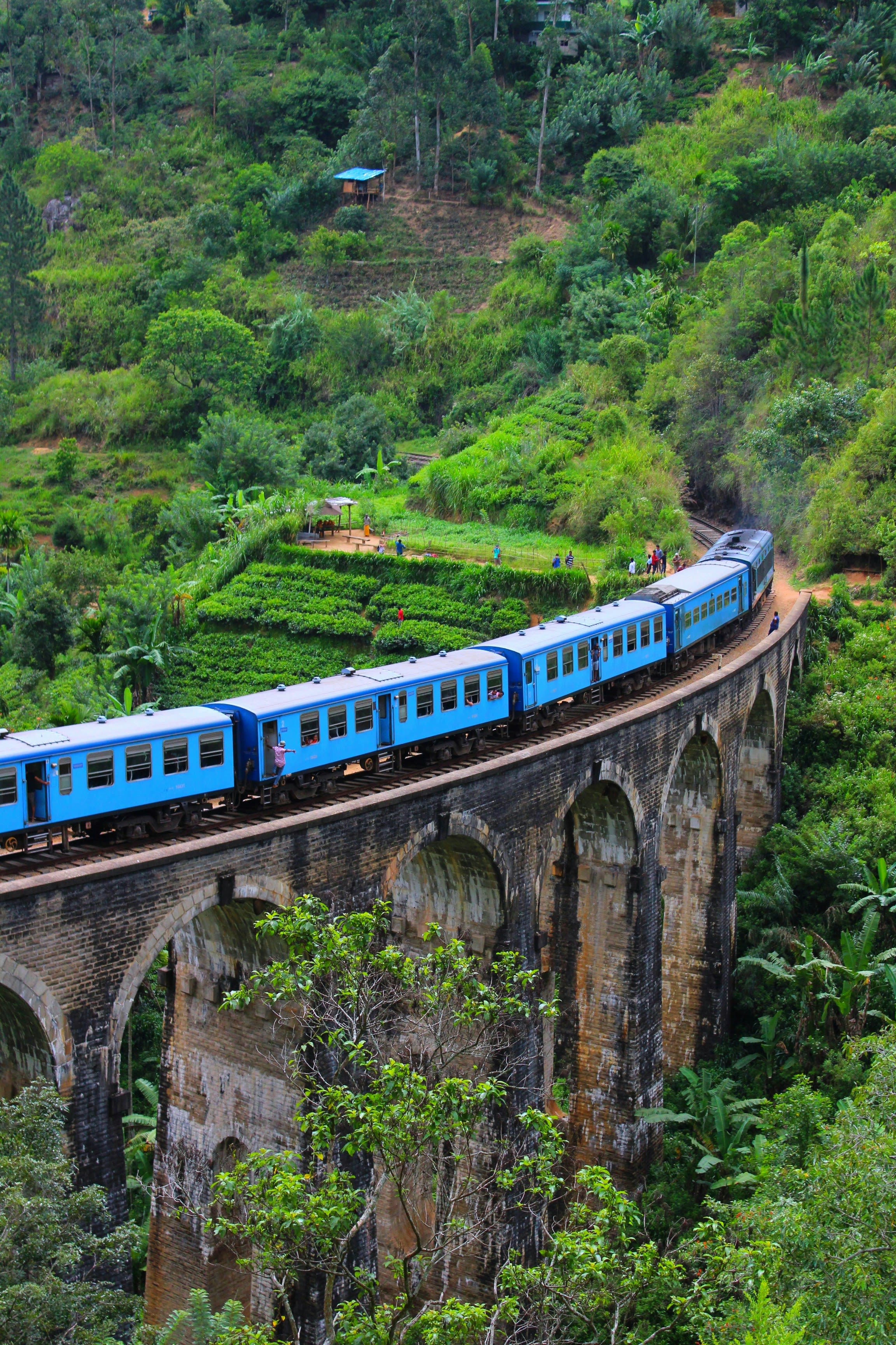 A blue train crossing a tall arched stone viaduct between tea-covered hills