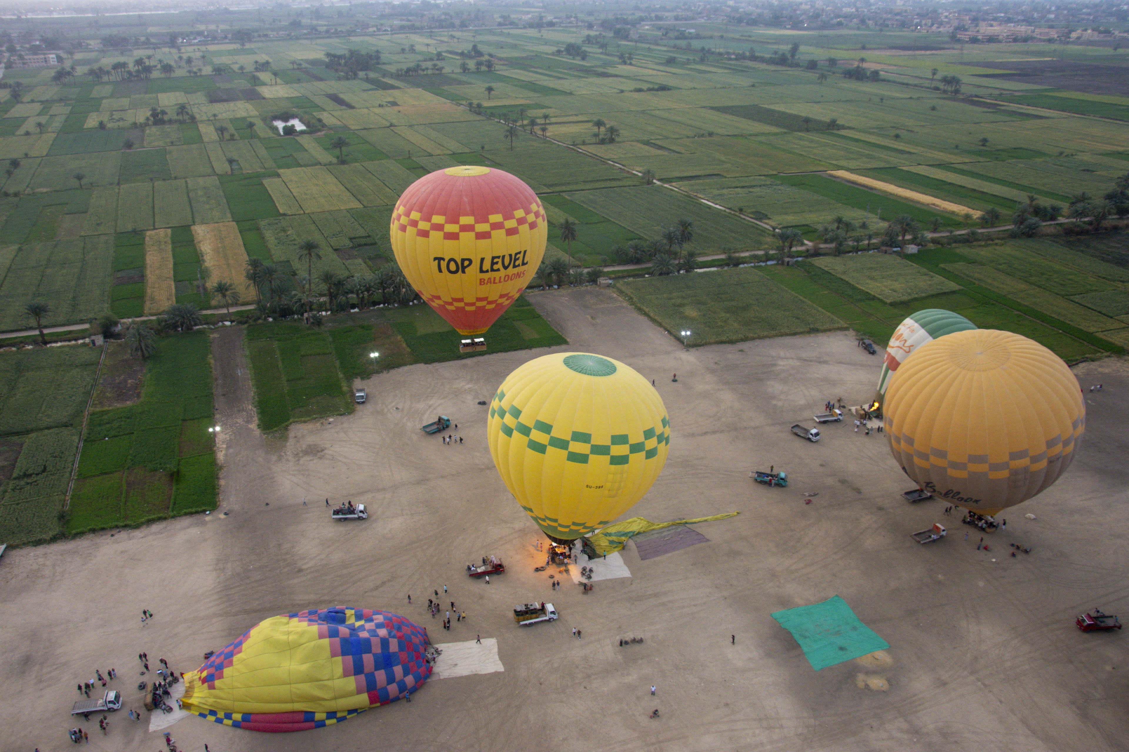 Hot air balloons inflating over green fields at the edge of the desert near Luxor at dawn