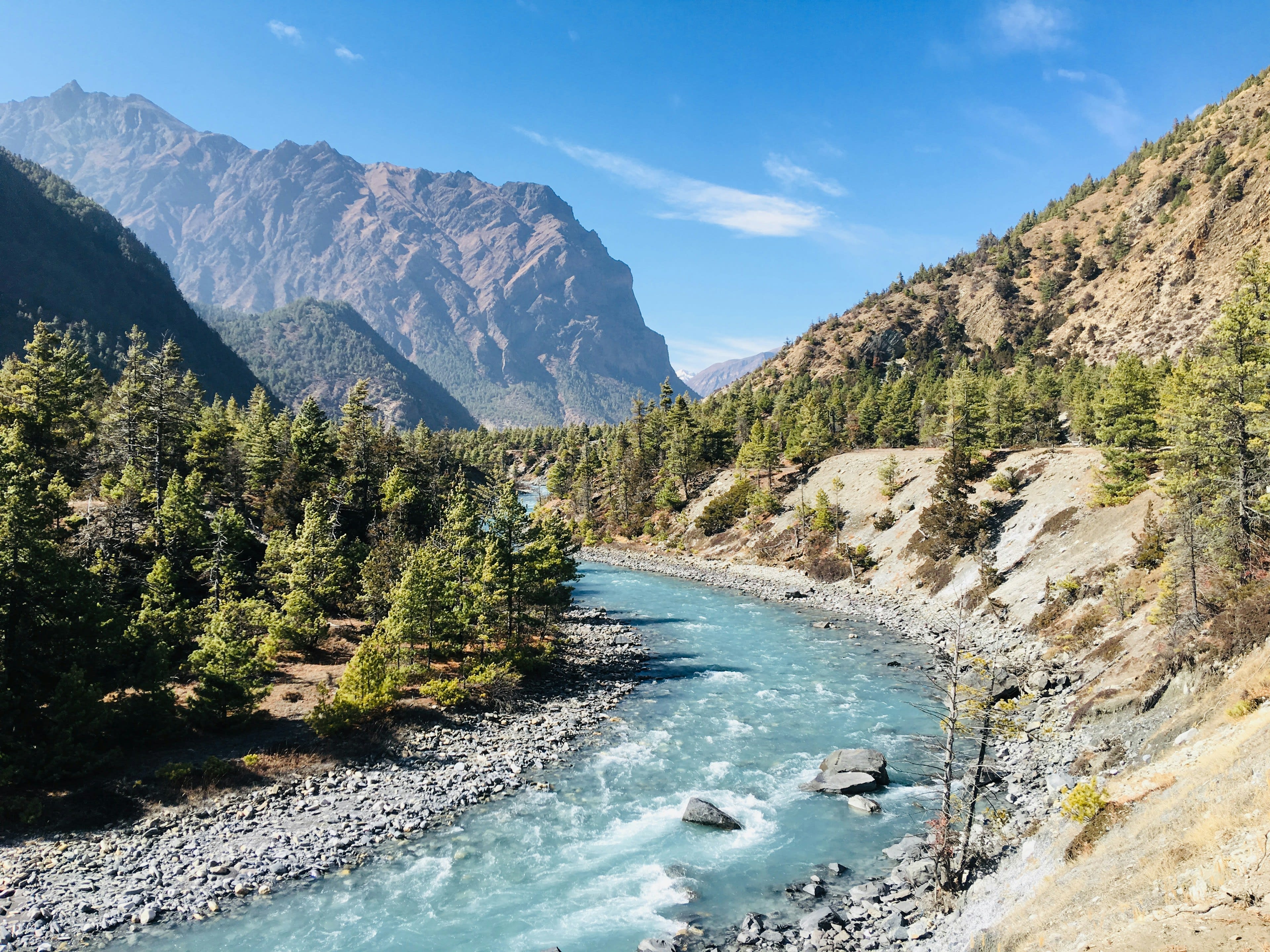 A turquoise river running through a forested Himalayan valley