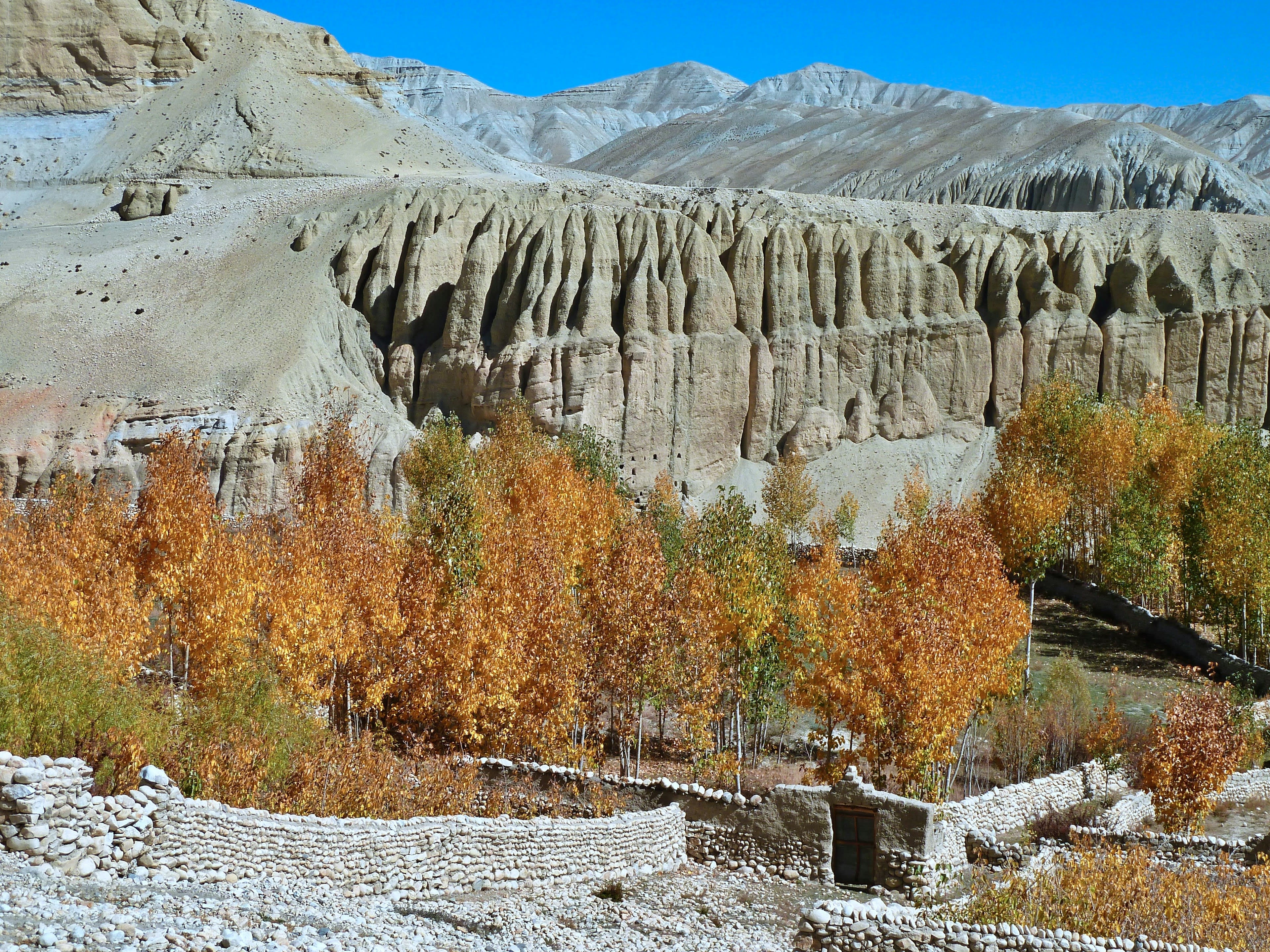Deeply eroded red and grey cliffs above autumn-coloured trees and a stone wall