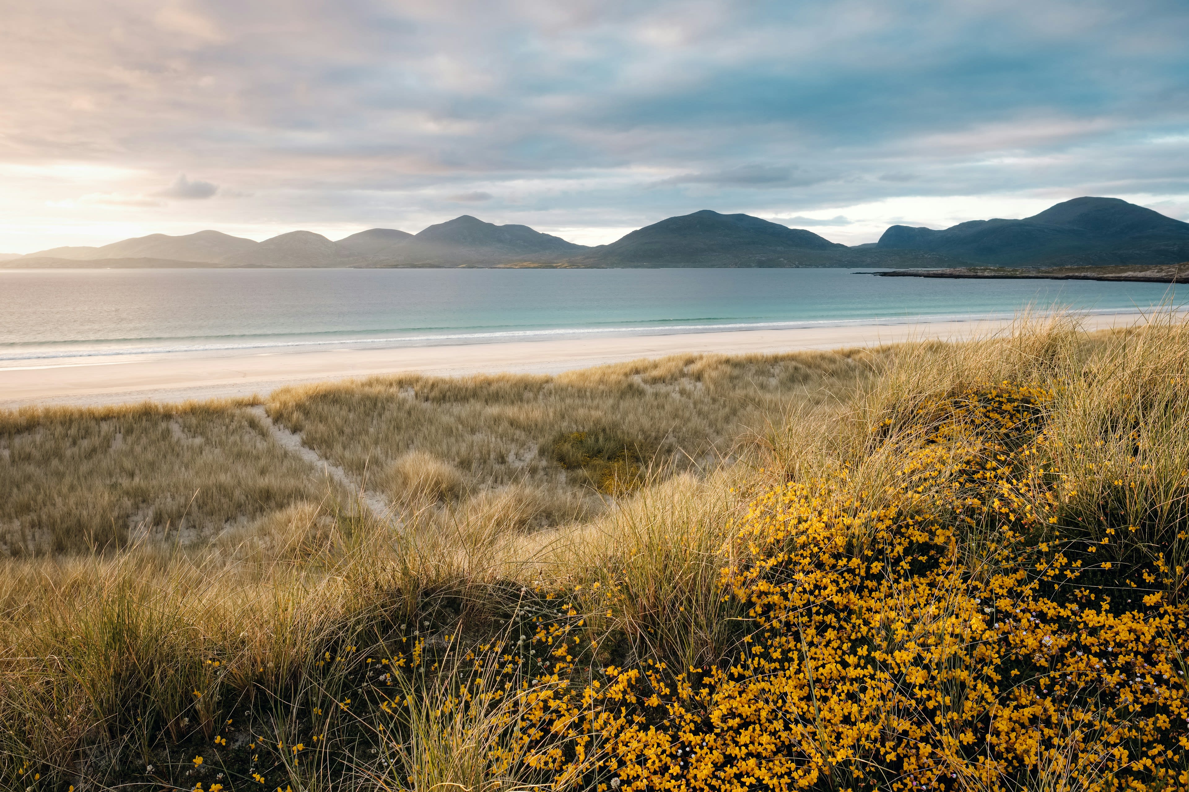 Golden dune grass above white sand and distant hills across the water